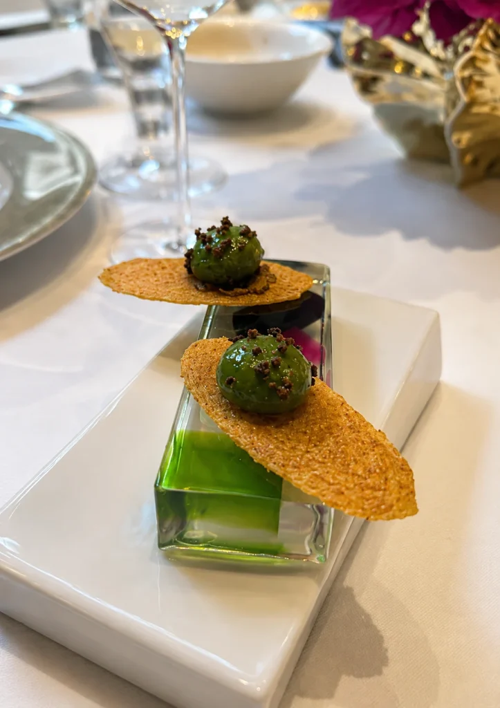 Plated starter with crisp golden tuiles and green garnish on a white plate